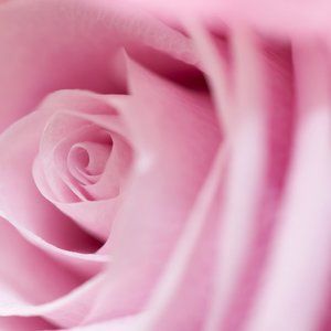 Meet your Posher, Hilda